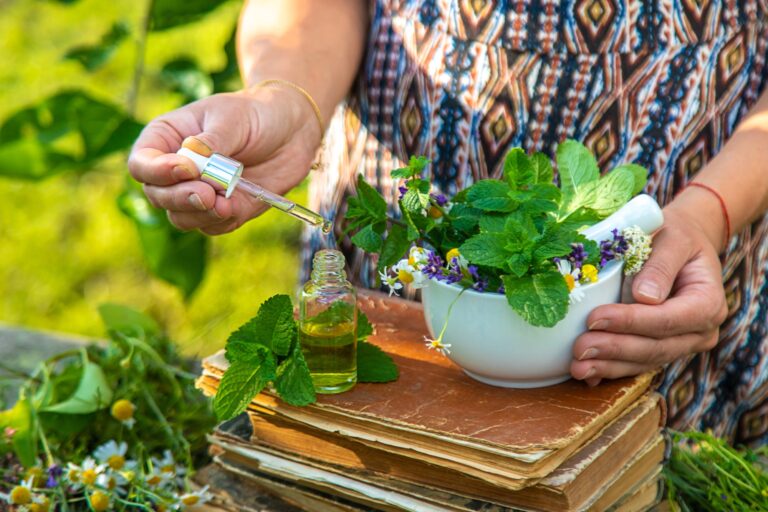 Medicinal herbs homeopathy and alternative medicine. Selective focus.